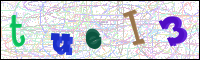 Image Verification