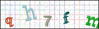 Image Verification