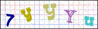 Image Verification