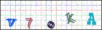 Image Verification