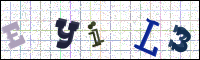 Image Verification