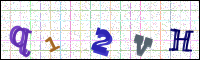 Image Verification