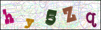 Image Verification