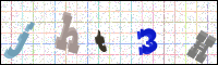 Image Verification