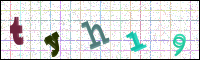 Image Verification