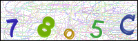 Image Verification