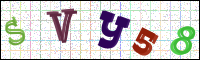 Image Verification