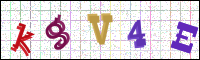 Image Verification