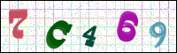 Image Verification