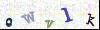 Image Verification