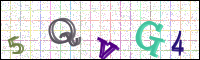 Image Verification