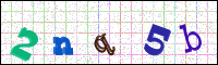 Image Verification