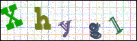 Image Verification