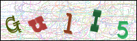 Image Verification