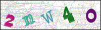 Image Verification