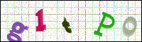 Image Verification