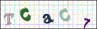 Image Verification