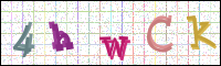 Image Verification