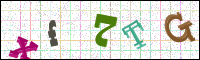 Image Verification