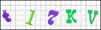 Image Verification