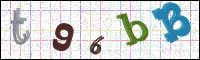Image Verification