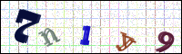 Image Verification