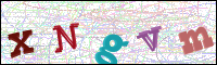 Image Verification
