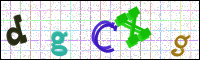 Image Verification