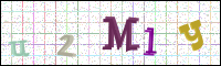 Image Verification