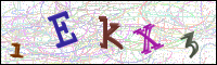 Image Verification
