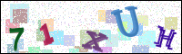 Image Verification