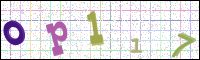 Image Verification