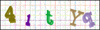 Image Verification