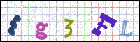 Image Verification